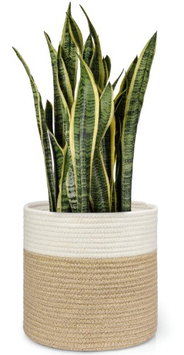 Dahey Jute Spliced Cotton Rope Plant Basket Modern Woven Storage Basket for 10" Floor Indoor Planter, 11" x 11" Decorative Flower Pots Cover Laundry Bin with Handle Rustic Home Decor, White and Beige - 11inch - White and Beige