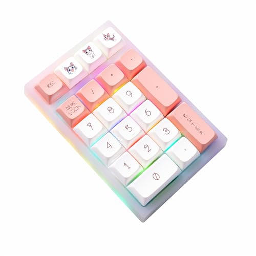 BOYI TD21 Hot Swappable Numpad,21 Keys Mini Numpad Portable Keypad Bluetooth 5.0/2.4GHz/Wired Number Pad Keyboard PBT Keycaps RGB Backlit Type-C Mini Keyboard (BOYI Cute Cat XDA Keycaps) - BOYI Cute Cat XDA Keycaps