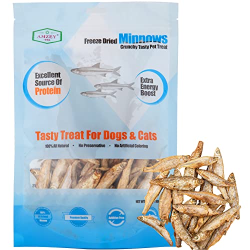 Amzey Minnows - 3.5 oz Freeze Dried - 100% Natural Premium Cat Treat, Dog Treat - Freeze Dried Minnows for Cats - Freeze Dried Minnows for Dogs - Bulk Package Minnows (1.6 "to 2.8" Length Each) - 3.5 Ounce (Pack of 1)