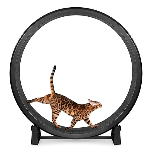ONE FAST CAT - Cat Exercise Wheel - Gen. 7 - Safe 48" Diameter - Made in The USA - Black Wheel with Black Felt Traction Pads - Black Wheel / Black Felt Interior