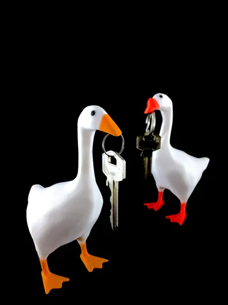 Holding Key Untitled Goose