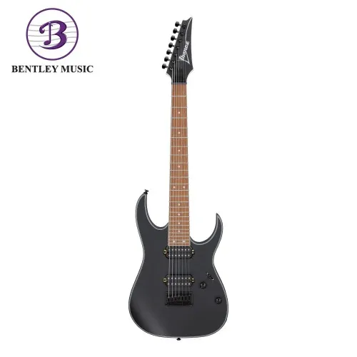 Electric Bass Guitar