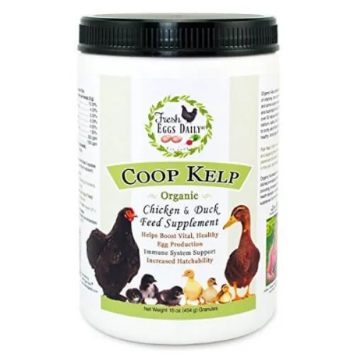 Fresh Eggs Daily Coop Kelp - Meyer Hatchery