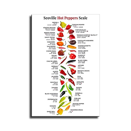 Scovill Hot Peppers Scale , Chilli Capsicum Knowledge Posters Nature Plant Gourmet Botanical Guide Kitchin Fresh Gift Living Room Prints Bedroom Decor (16x24inch-No Frame) - 16x24inch-No Frame