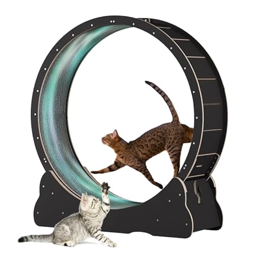 Homegroove Cat Treadmill, Cat Exercise Wheel for Indoor Cat, 43.3" Large Cat Running Wheel with Carpeted Runway, Fitness Weight Loss, Cat Sport Toy for Kitty’s Longer Life, Black(XL) - XL - Black