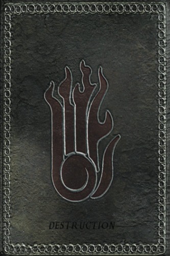 DESTRUCTION spells tome skyrim notebook: notebook journal straight out of the elder scroolls DESTRUCTION SKILL cream paper 120 pages
