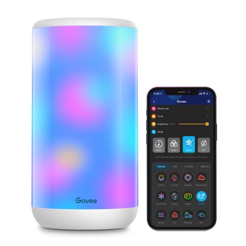 Govee Smart Table Lamp, Dimmable App Wi-Fi Control Lamp with 43 Scene Modes and Music Mode, Warm White Light RGBIC Bedside Lamp for Bedrooms and Living Room, Works with Alexa & Google Assistant