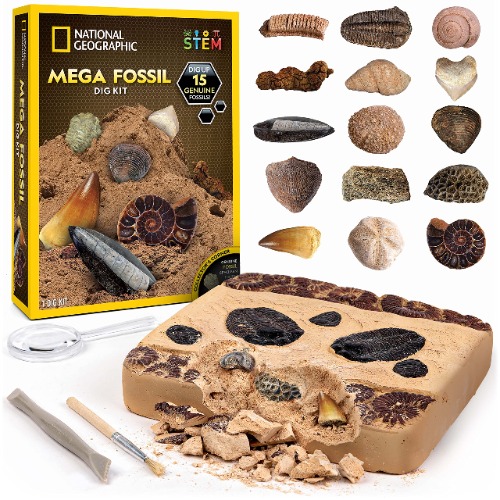 NATIONAL GEOGRAPHIC Mega Fossil Dig Kit - Excavate 15 Prehistoric Fossils Including Dinosaur Bones & Shark Teeth, Educational Toys, Great Science Kit Gift for Girls and Boys (Amazon Exclusive) - Mega Fossil Kit