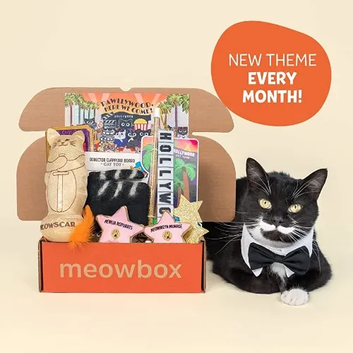 Meowbox for Annie!