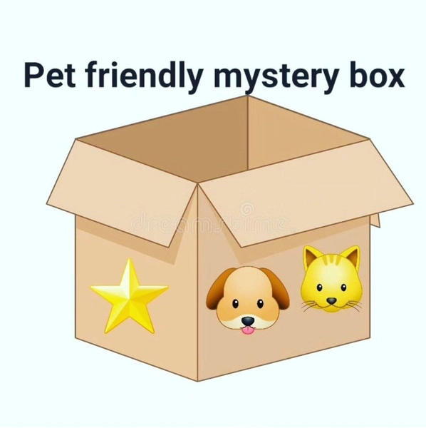 Mystery Pet Friendly Plant Cuttings Box - Rooted / Unrooted
