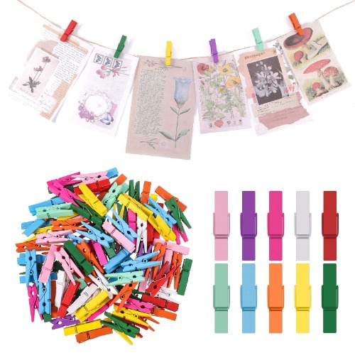 100pcs rainbow pegs for murder board