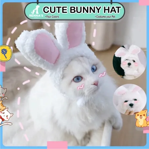 Cat Bunny Hat ♡ ° . °