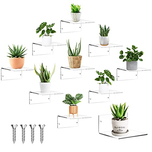 Yalikop Small Adhesive Wall Shelves Acrylic Display Shelf Mini Floating Shelves Pop Shelves Hanging Display Shelves for Space Save Room Bedroom Living Room Bathroom (Clear, 10 Pieces) - 10 - Clear