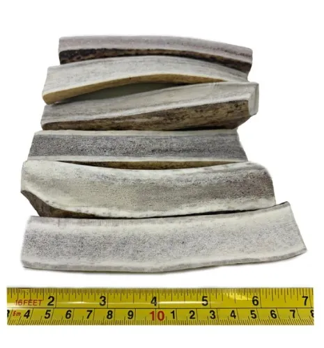 6 Pack of Natural Elk Antlers