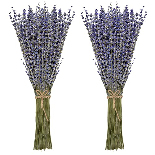 Dried Lavender Bundles