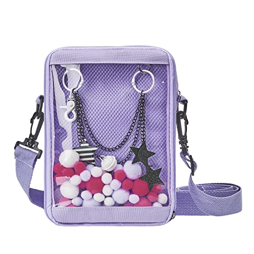 Small Clear Crossbody Bag