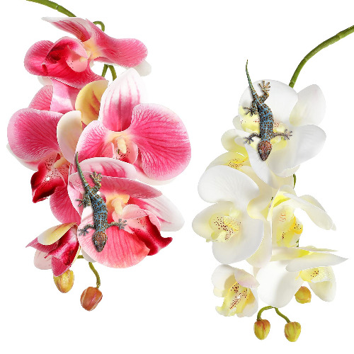 Chuangdi 2 Pieces Artificial Phalaenopsis with Suction Cups Terrarium Plant Decoration Reptile Habitat Plant Decor for Hermit Crab Lizards Geckos Snake Reptile (Dark Pink, White Yellow) - Dark Pink, White Yellow