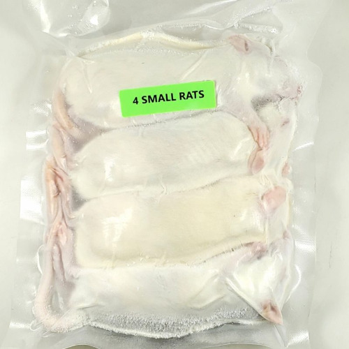 Small Rats (4/Pack)