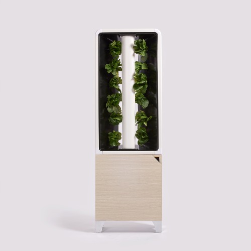 The EVE Tower Garden - Millwood Oak