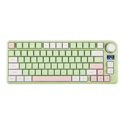 EPOMAKER TH80-X Gasket Mechanical Keyboard, 75% Layout Triple Mode Hot-swap Gaming Keyboard with 4000mAh Battery, LCD Screen, NKRO, RGB for Office/Win/Mac (Pink Green, Wisteria Linear) - Wisteria Linear Switch - TH80-X Pink Green