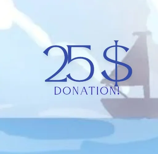 ᰔ-⊹˚₊25 Dollar Dono!