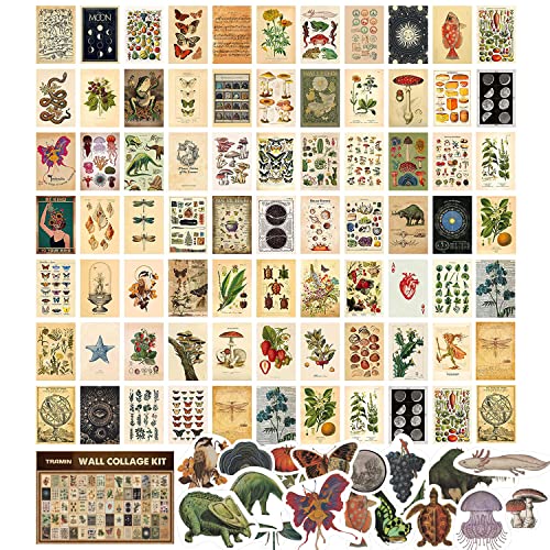 100 Piece Cottagecore Collage Kit