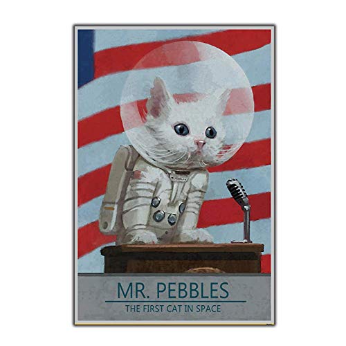 Mr Pebbles Poster