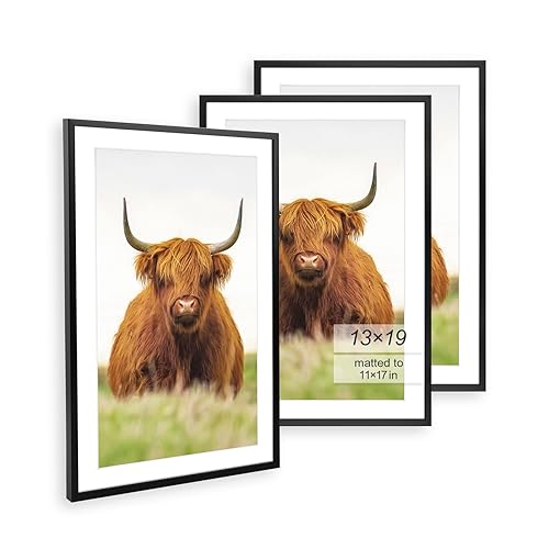 Golden State Art, 13x19 Picture Frame Set of 3, Black Thin Border, Display Photo 11x17 with Mat or 13x19 Without Mat, Poster Frame for Wall Hanging Horizontal and Vertical - 13x19 - Black