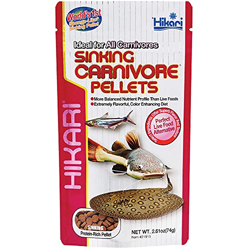 Hikari Sinking Carnivore Pellets for Pets, 2.61-Ounce - 2.61 Ounce (Pack of 1) - green