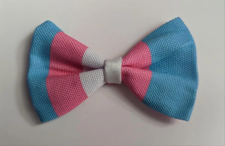 Trans Pet Collar Bowtie