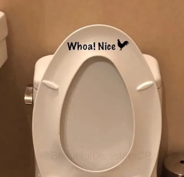 Whoa Nice cock Chicken Sticker. Funny Toilet Decal Sticker. | Etsy
