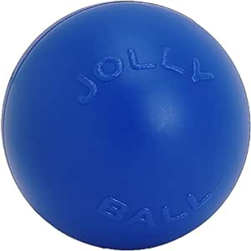Jolly Pets Push-n-Play Ball Dog Toy