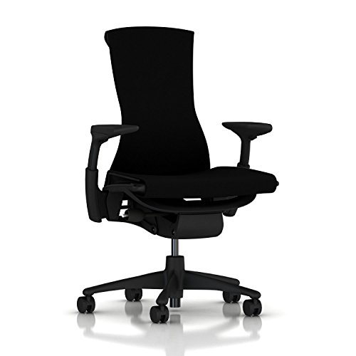 Herman Miller Embody Ergonomic Office Chair | Fully Adjustable Arms and Carpet Casters | Black Rhythm - Black