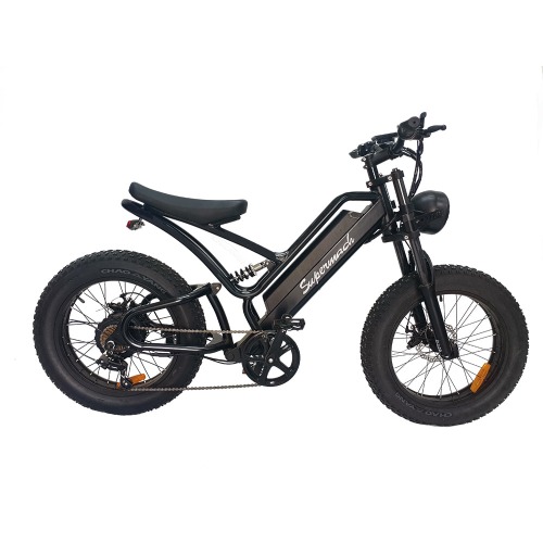 Non-foldable E-bike