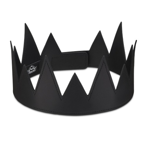 A CROWN for the GOBLIN KING