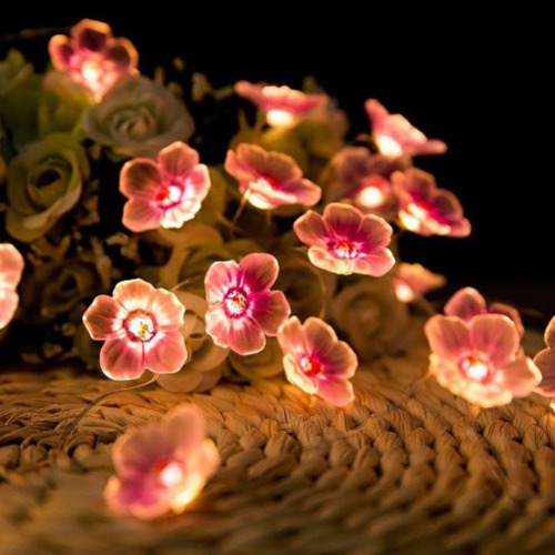 Sakura Blossom String Lights - 30 Leds-USB