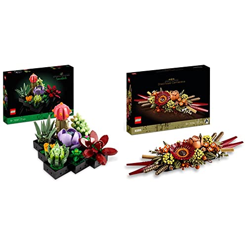 LEGO 10309 Icons Succulents Artificial Plants Set for Adults, Home Décor, Creative Hobby & 10314 Icons Dried Flower Centrepiece, Botanical Collection Crafts Set for Adults - Succulent - + Kai’s Mech Rider EVO