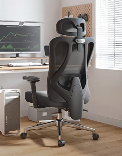 Ergonomic Desk Chair - Black