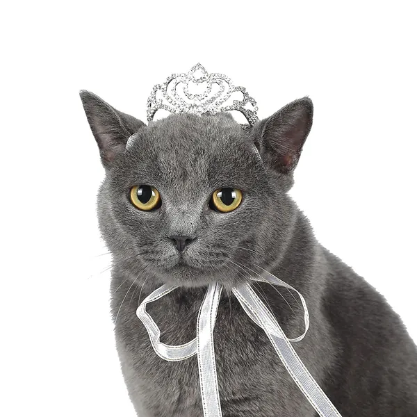 Classic Rhinestone Cat Tiara 