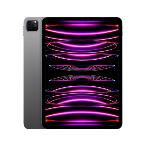 2022 Apple 11-inch iPad Pro (Wi-Fi, 256GB) - Space Gray (4th Generation) - WiFi 256 GB Space Gray
