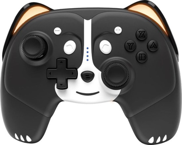 Nintendo Switch - controller