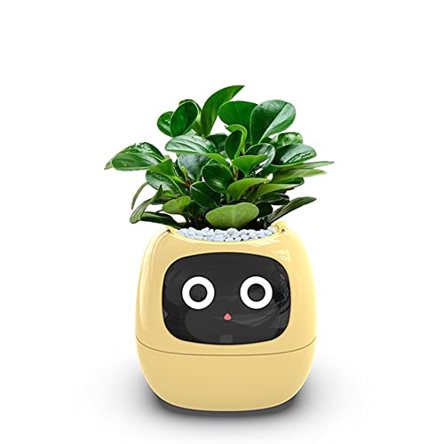 TPHRAVAL Intelligent flower pot, electronic bud, maintenance plant assistant, fun interactive flower pot, indoor green planting monitoring, LCD screen display, cell phone APP connection (Yellow) - Yellow