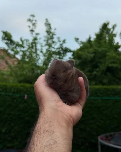 Food and Electric bill