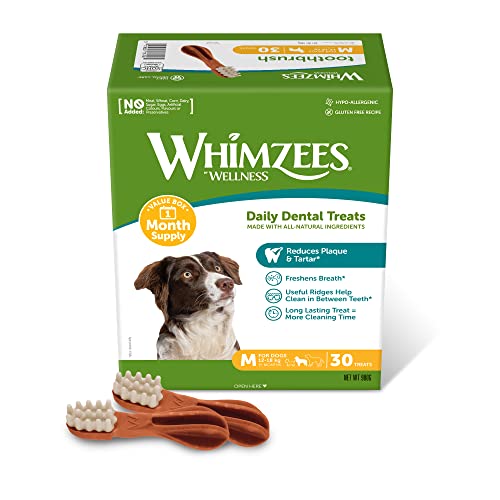 WHIMZEES Toothbrush - Month Box - 30 pieces