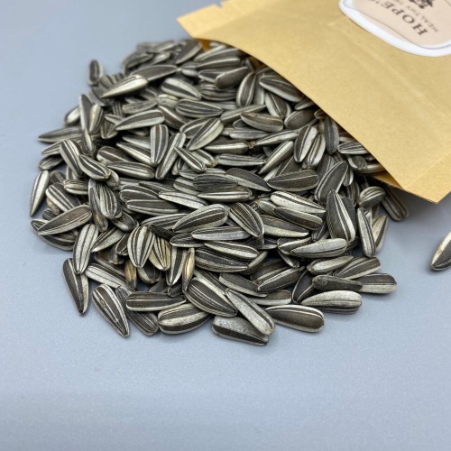 Sunflower Seeds | Sunflower Seeds