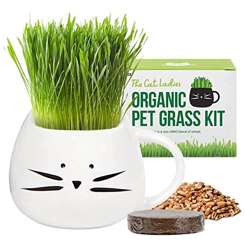 The Cat Ladies Organic Cat Grass Growing kit with Organic Seed Mix, Soil and White Cat Planter. Natural Hairball Control and Digestion Remedy, Cat Gifts - White Cat