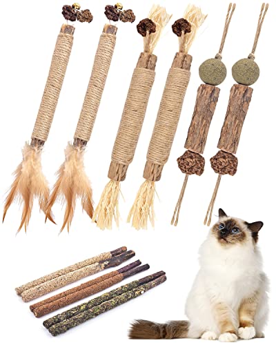 TINDTOP Catnip Chew Toys for Cats, 12 Pack Natural Silvervine Sticks for Kittens Teeth Cleaning, Matatabi Dental Care, Increase Appetite, Calm Cat Anxiety and Stress, Aggressive Chewers Cat Dental Toy