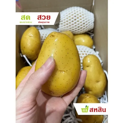 🍳 Potatoes 1kg