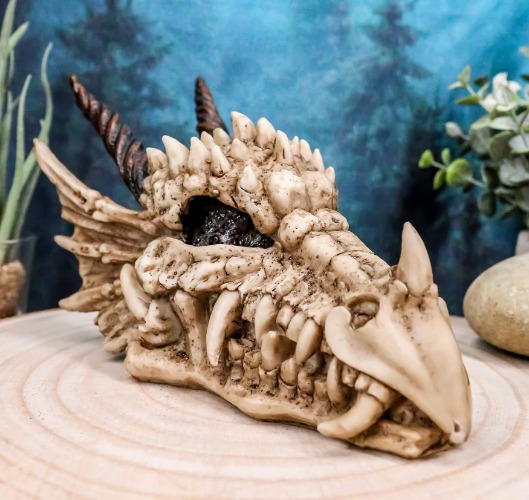 Ebros Gift Jurassic Beowulf Elder Dragon Head Skull Realistic Fossil Statue 7.75" Long Miniature Figurine Might and Magic for Medieval Fans Game of Thrones Lovers Dungeons and Dragons Fantasy Decor