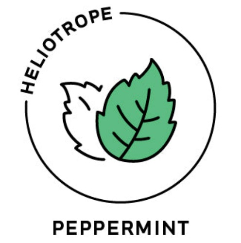 Essential Oil - Peppermint (Organic) - 1/8 oz